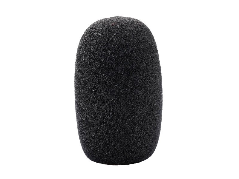 ASP-06 ASP-06 Electret Microphone Protector