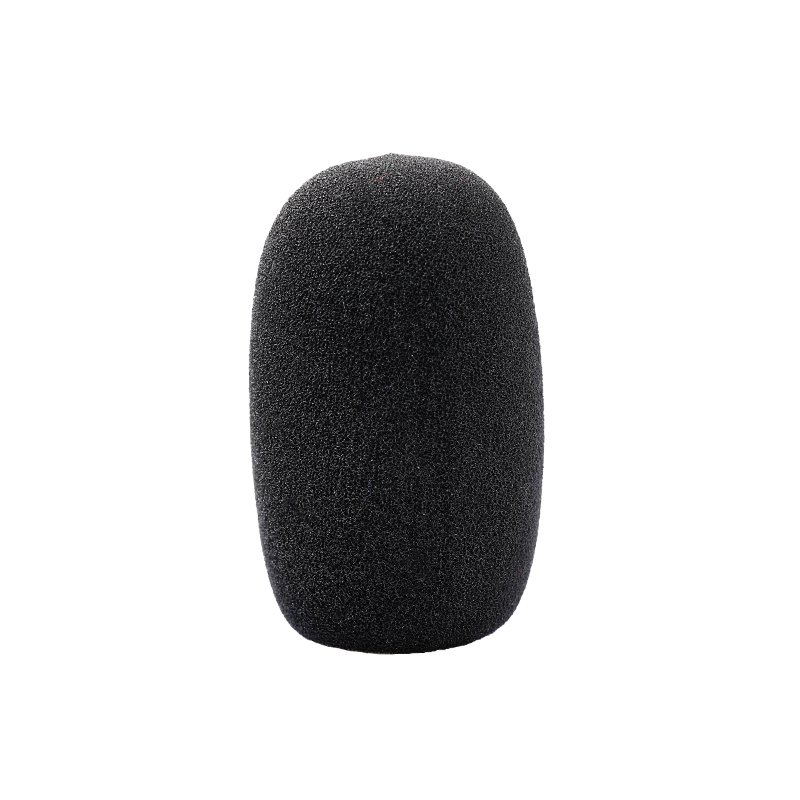 ASP-06 ASP-06 Electret Microphone Protector
